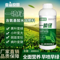 一噴綠黃葉枯死變綠含氨基酸通用蔬菜花卉葉綠素微量元素葉面肥