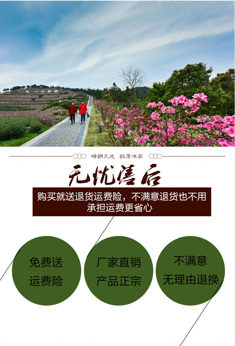 小蘭花-5
