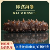 辰潤(rùn)海參SC工廠現(xiàn)貨批發(fā)大連即食海參 鮮食海參500G海參干貨批發(fā)