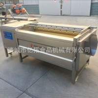 直銷清洗機(jī) 果蔬氣泡清洗機(jī) 萬能洗菜機(jī) 土豆去皮毛輥去皮機(jī)星科
