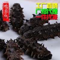 大連純淡干海參 深海海參干貨50g/件 貨源穩(wěn)定廠家直銷(xiāo)可一件代發(fā)