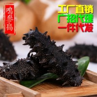 大連純淡干海參 深海海參干貨 廠家直銷(xiāo)貨源充足 可一件代發(fā) 50g