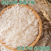 秈米特長貓牙米5kg大米批發(fā)10kg絲苗米50斤米長粒新米可代發(fā)包郵