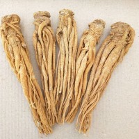 當(dāng)歸廠家供應(yīng)水洗有硫黃當(dāng)歸食用農(nóng)產(chǎn)品產(chǎn)地直供量大從優(yōu)