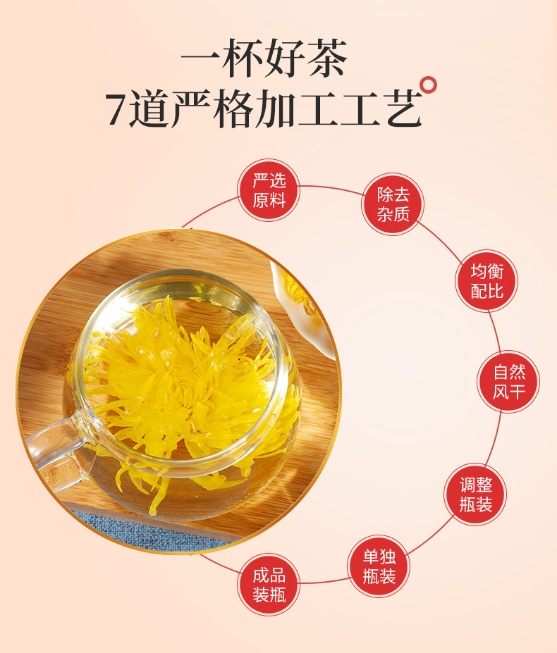 金絲黃菊_04.jpg