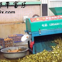 小型干核桃脫皮機 青核桃去皮清洗機 富樂 核桃去青皮機