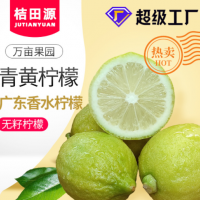 新鮮香水檸檬5斤包郵二級果無籽四季奶茶店專用薄皮厚皮青黃檸檬