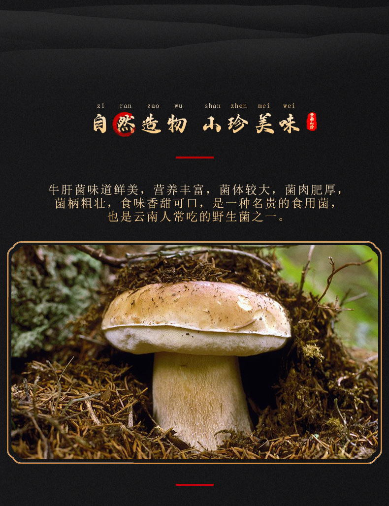 牛肝菌--袋裝_02.jpg
