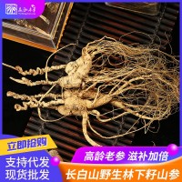 廠家直銷長白山林下參 正品野山參15年25年移山參籽貨干參禮盒