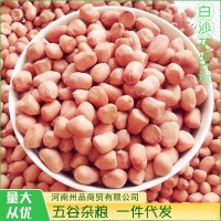 當季新貨白沙花生米產地直供正陽大白沙小白沙炸油原料 一件代發(fā)