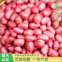 當季新貨四粒紅花生米東北紅衣花生米散裝袋裝五谷雜糧一件代發(fā)