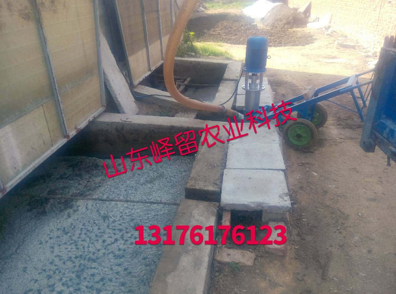 吸糞中6