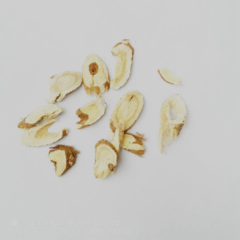 殘片白底_副本