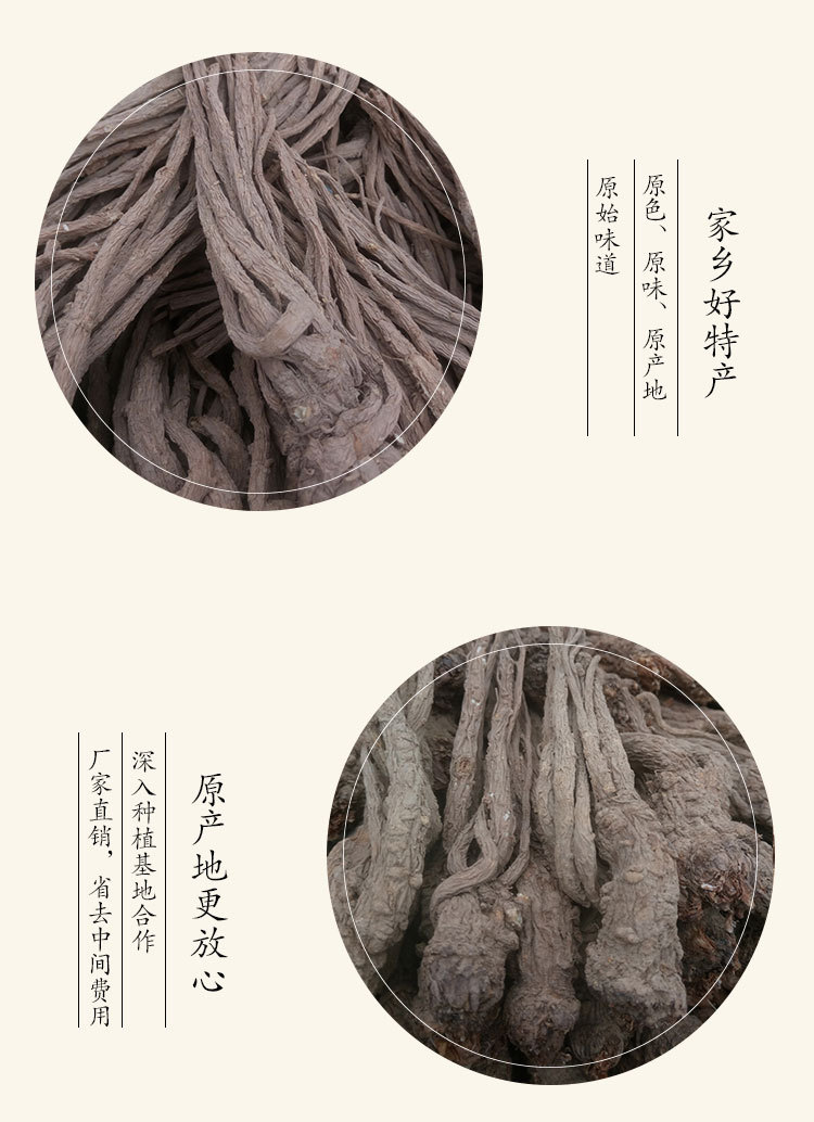 當(dāng)歸大條-U_04.jpg