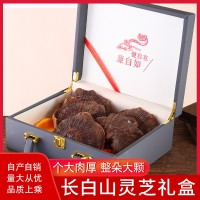 長白山赤靈芝禮盒裝林下靈芝仿野泡酒泡水滋補干靈芝送禮佳品批發(fā)