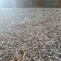 廠家直供沙里鉆魚干 海鮮干貨批發(fā) 大量魚干品種齊全 價(jià)格實(shí)惠