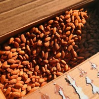 澳洲almondco農(nóng)場扁桃仁巴旦木仁NPX30/32