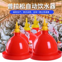 養(yǎng)雞禽用自動飲水器飲水壺廣式普拉松雞鴨鵝喂水器畜禽養(yǎng)殖雞喝水