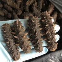 嘉島珍參 新品長(zhǎng)島海參大火候拉缸鹽海參鹽漬刺參