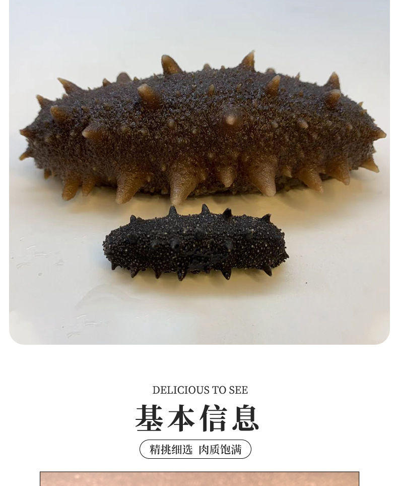 電商直供特級海參1_08.jpg