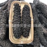 供應優(yōu)質深海非洲海參2到20頭／斤統(tǒng)貨 梅花參自己場地加工批發(fā)
