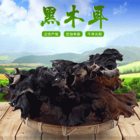四川黑大木耳火鍋脆木耳250g批發(fā)支持分銷(xiāo)兩件代發(fā)訂貨大宗交易