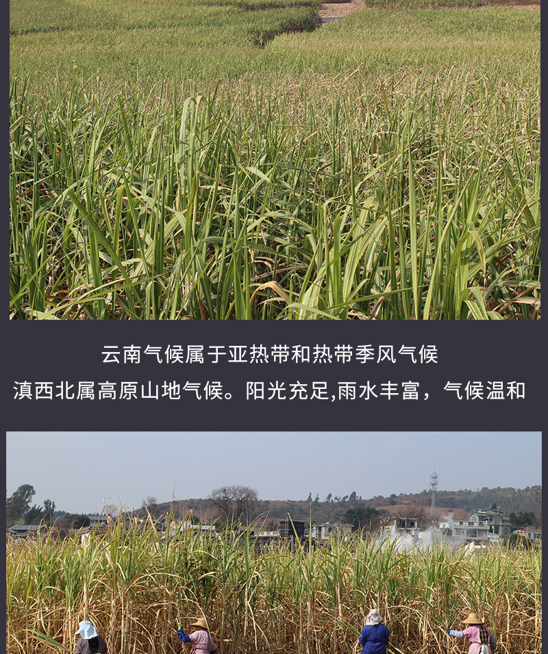 詳情頁_10