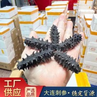 大連淡干海參干貨六排刺12A產(chǎn)家直銷遼參刺參大連海參可打禮盒