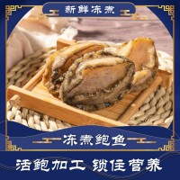 鮑魚哥鮑魚特產(chǎn)淡凍煮鮑魚酒店佛跳墻煲湯鮑魚干海鮮海產(chǎn)品批發(fā)