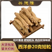 加拿大足齡西洋參20克短粒頭 花旗參軟枝短粗大粒頭參段看切片