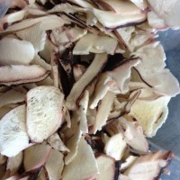 魷魚(yú)足，F(xiàn)D魷魚(yú)足，凍干魷魚(yú)足，冷凍干燥產(chǎn)品，凍干食品