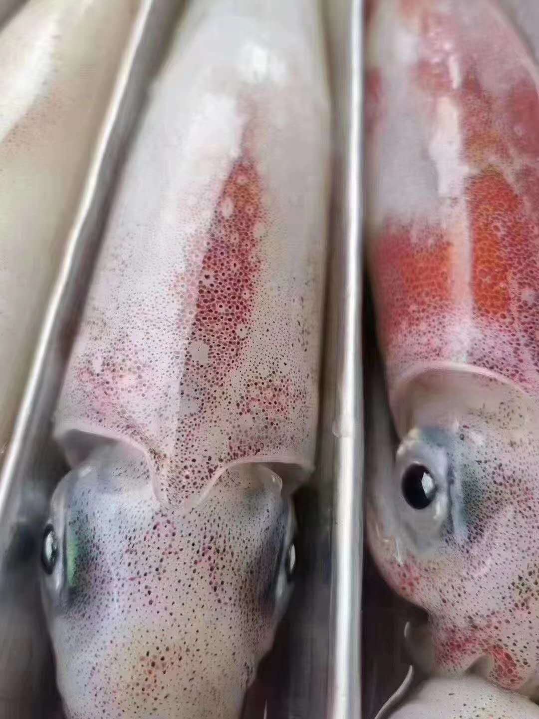 微信圖片_20220218140914