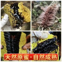 源頭工廠云南邊境野蜂米團(tuán)花 黑蜂蜜高原特產(chǎn)黑蜜原蜜黑 蜂中蜂