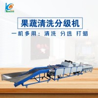 柑桔分級機 清洗風(fēng)干打蠟選果機 水果分級機 臍橙檸檬分選機