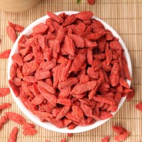 紅枸杞散裝 產(chǎn)地貨源紅枸杞 散貨批發(fā)寧夏枸枸杞子500g一件代發(fā)