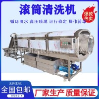 毛刷滾筒清洗機(jī) 丹參人參中藥材清洗設(shè)備 油污袋子全自動(dòng)洗袋機(jī)