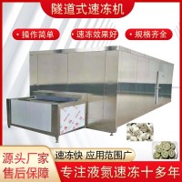 商用隧道式速凍機(jī)盒飯預(yù)制菜速凍設(shè)備水餃湯圓豆沙包食品速凍機(jī)