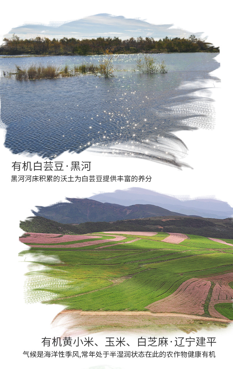 有機黃金藜麥五谷粉_06