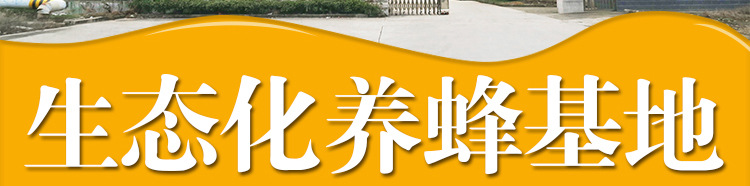 寶貝詳情-通用模板--20.12_04.jpg