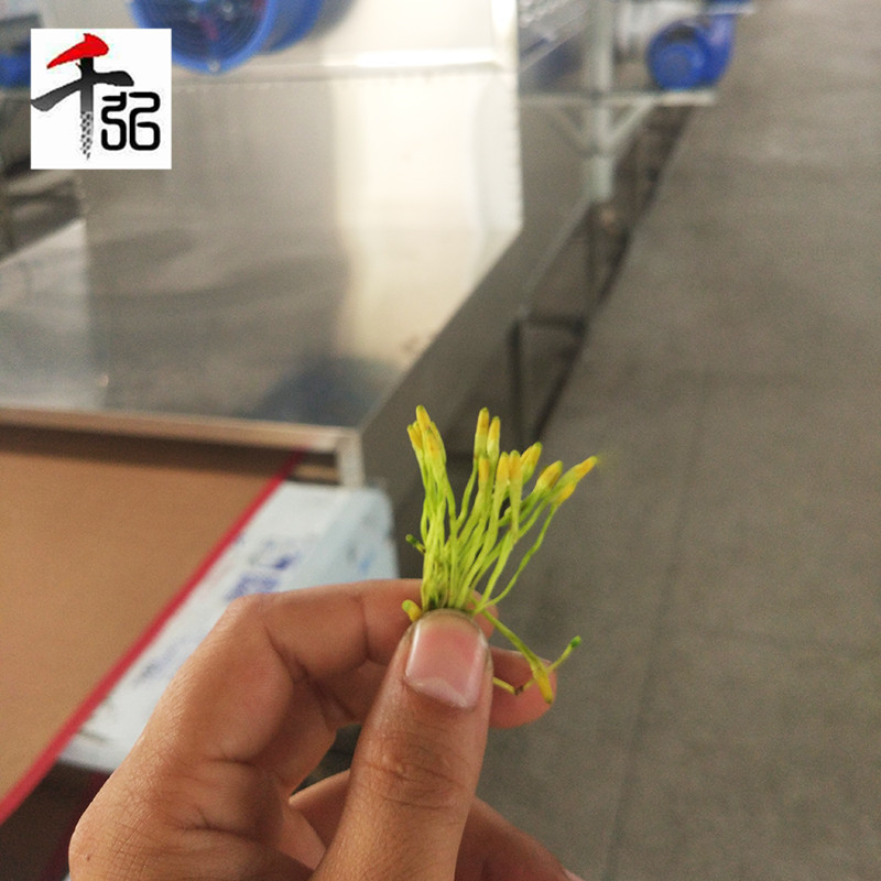 金銀花微波烘干機 (3).jpg