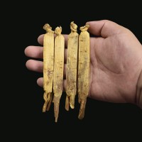 高麗參無糖6年根紅參整支東北特產(chǎn)長(zhǎng)白山人參散裝別直參切片禮盒
