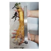 【保鮮人參】東北特產(chǎn)長(zhǎng)白山人參批發(fā)泡酒煲湯廠家直銷規(guī)格齊全