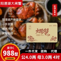蘇州陽(yáng)澄湖大閘蟹 公4.0兩母3.0兩8只 大閘蟹禮品卡券螃蟹批發(fā)