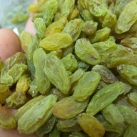 新疆吐魯番特產(chǎn)小綠葡萄干500g批發(fā)無(wú)核葡萄果干零食一件代發(fā)包郵