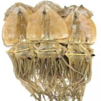 廠家直銷 供應大量 出口級 干魷魚板 / 干魷魚片 / 干魷魚