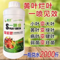 500g黃葉死苗一噴綠?；ū９~面肥果蔬氨基酸葉面肥腐植酸營養(yǎng)液