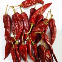 現(xiàn)貨供應(yīng)益都辣椒北京紅辣椒新疆線辣椒903紅龍13紅龍23干辣椒批