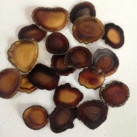 鹿茸片全蠟片含血足營(yíng)養(yǎng)豐富 吉林長(zhǎng)春鹿茸泡水煲湯泡酒1克