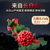 長(zhǎng)白山產(chǎn)地批發(fā)特產(chǎn)光枝白參人參白全須送禮500克6年泡酒煲湯白參