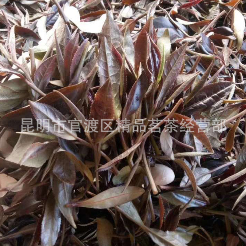 紫鵑理?xiàng)l (10).jpg